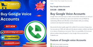 Buy Google Voice Accounts